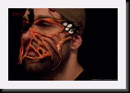 dave-insectifae-vawn * Dave, Vawn from Insectifae * 1024 x 683 * (361KB)